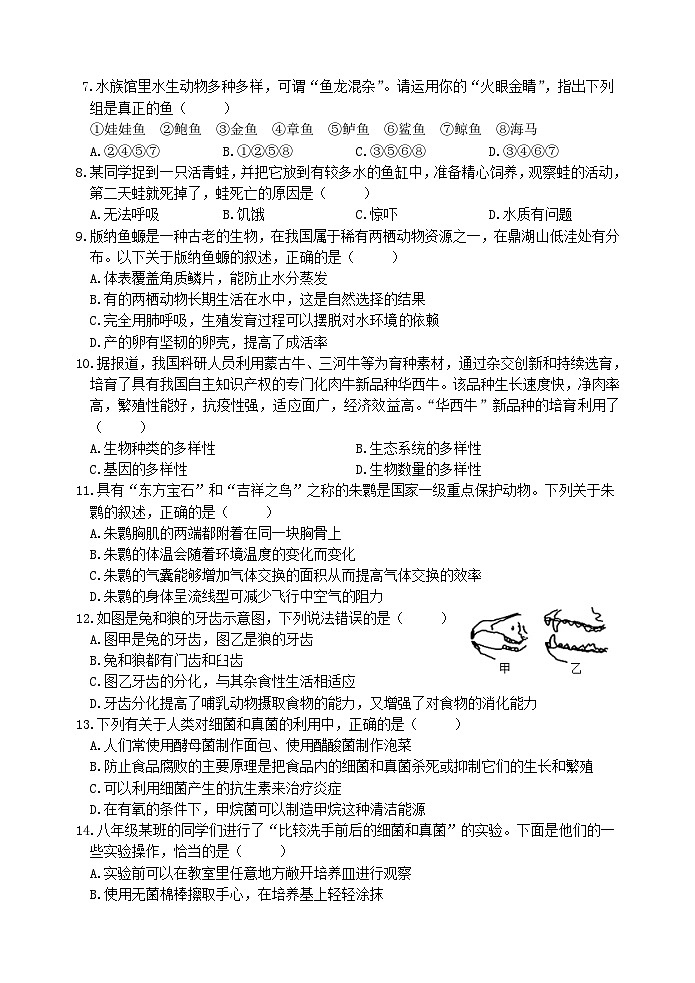 （教研室提供）山东省日照市岚山区2024-2025学年八年级上学期期中考试生物试题第2页