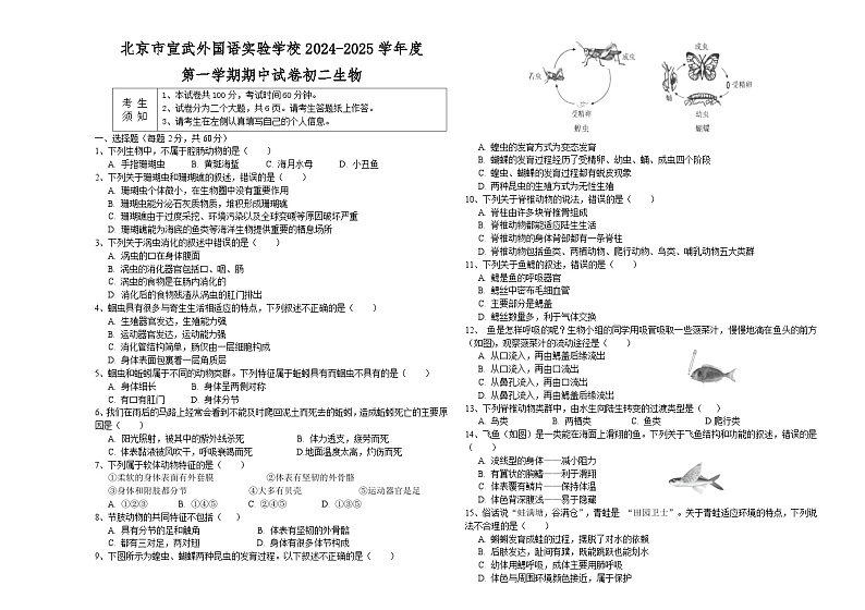 北京市宣武外国语实验学校2024-2025学年八年级上学期期中生物试卷第1页