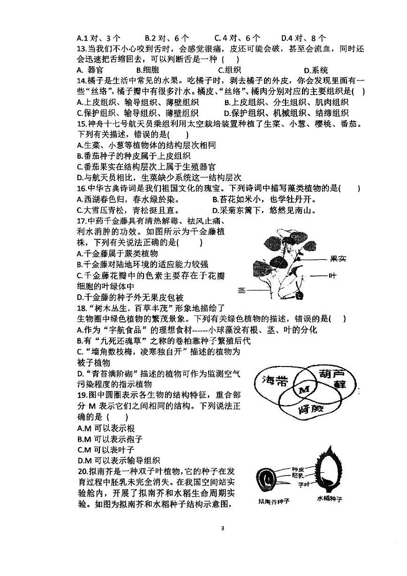 河南省漯河市实验中学2024-2025学年七年级上学期期中生物试题第3页