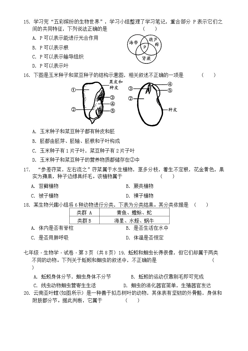 2024-2025学年上学期七年级期中考试生物学试题卷-A4第3页
