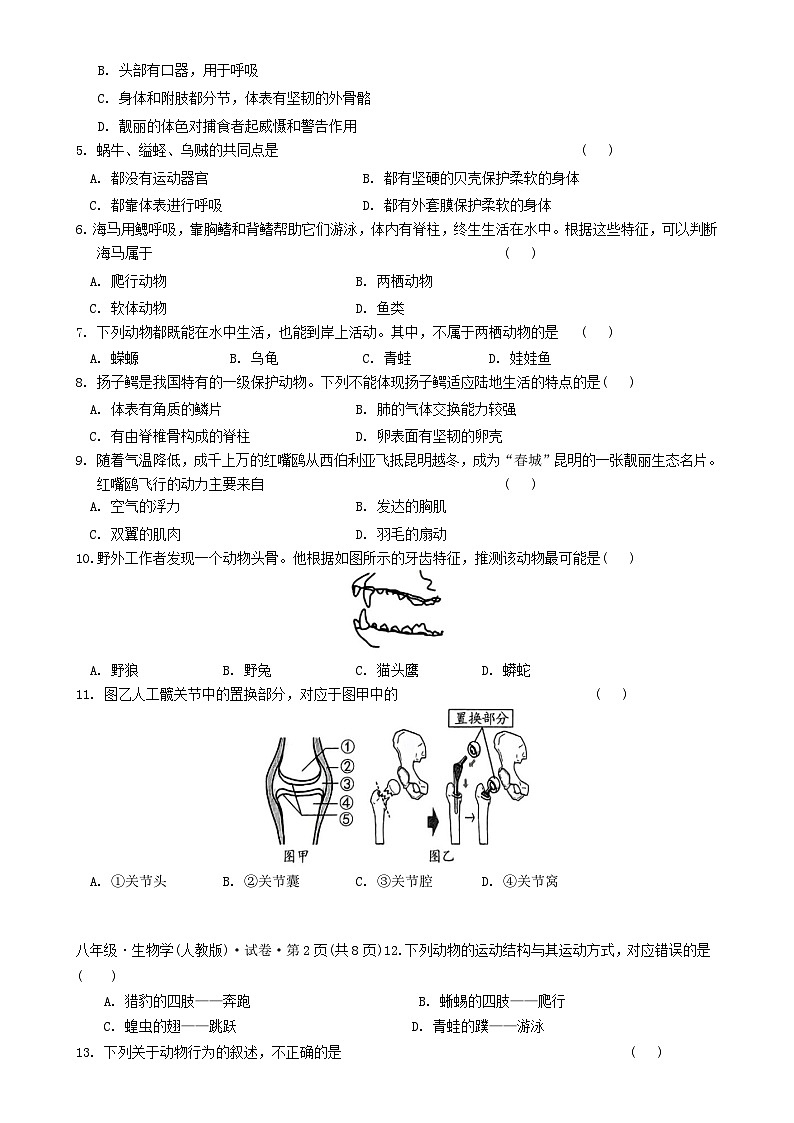 2024-2025学年上学期八年级期中考试生物学试题卷-A4第2页