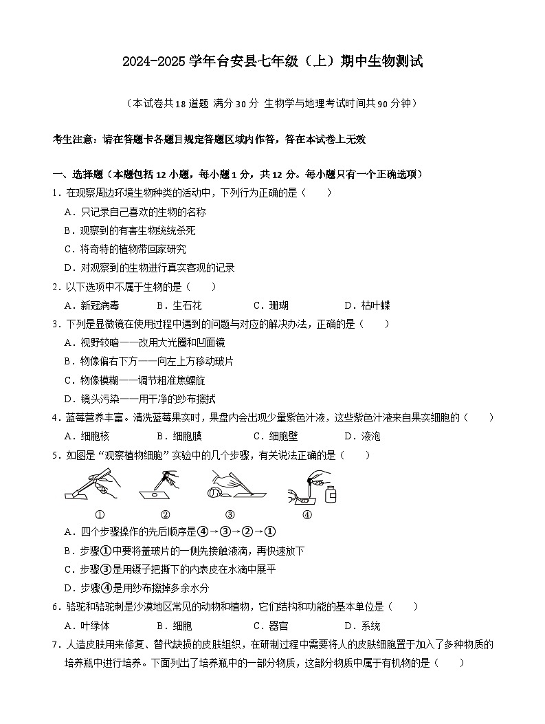 辽宁省鞍山市台安县2024-2025学年七年级上学期期中考试生物试题第1页