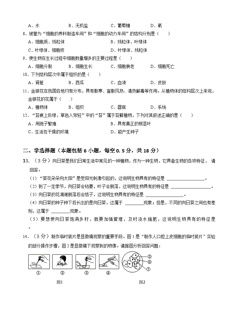 辽宁省鞍山市台安县2024-2025学年七年级上学期期中考试生物试题第2页