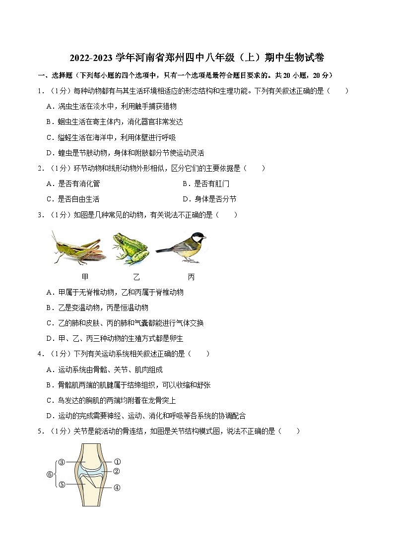 河南省郑州市第四中学2022-2023学年八年级上学期期中考试生物试卷第1页