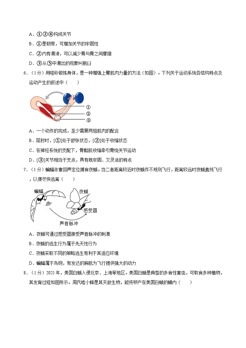 河南省郑州市第四中学2022-2023学年八年级上学期期中考试生物试卷第2页
