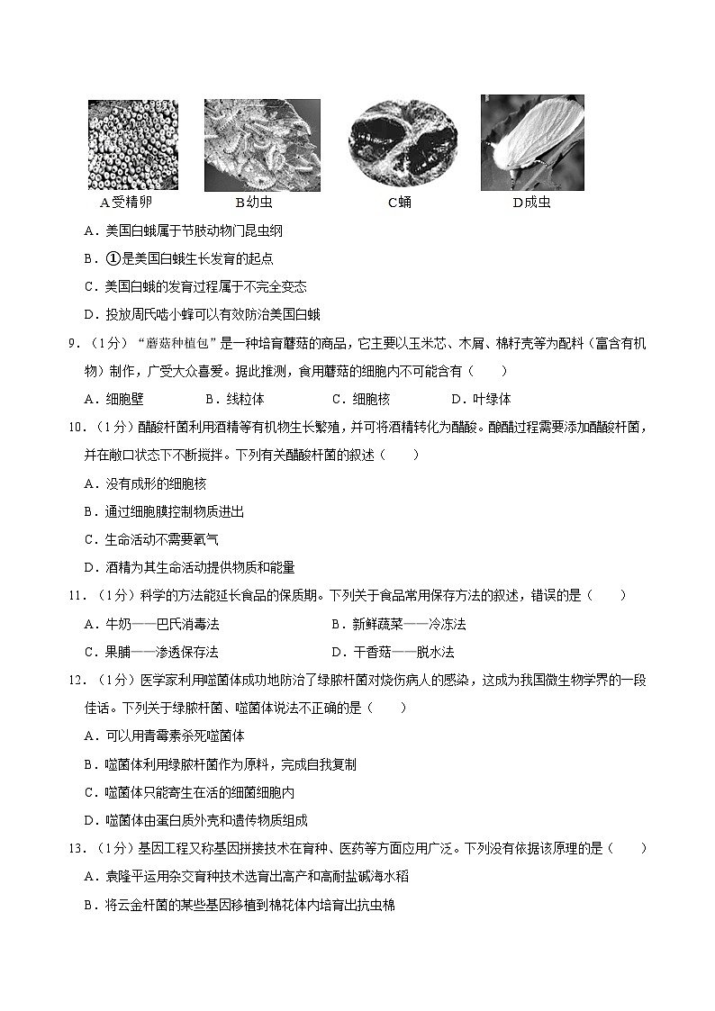河南省郑州市第四中学2022-2023学年八年级上学期期中考试生物试卷第3页