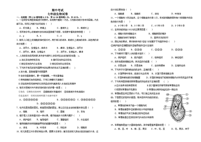 甘肃省兰州市第五十四中学2024-2025学年七年级上学期期中考试生物试卷第1页