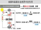 人教版生物八年级上册5.3《细菌和真菌在自然界中的作用》课件