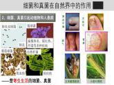 人教版生物八年级上册5.3《细菌和真菌在自然界中的作用》课件