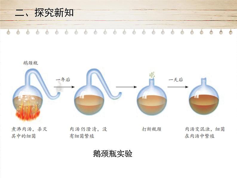 人教版生物八年级上册5.4.2《细菌》第6页