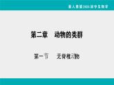 人教版生物七年级上册2.2.1《无脊椎动物》教学课件
