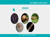 人教版生物七年级上册2.2.1《无脊椎动物》教学课件