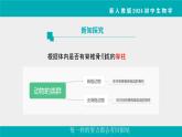 人教版生物七年级上册2.2.1《无脊椎动物》教学课件