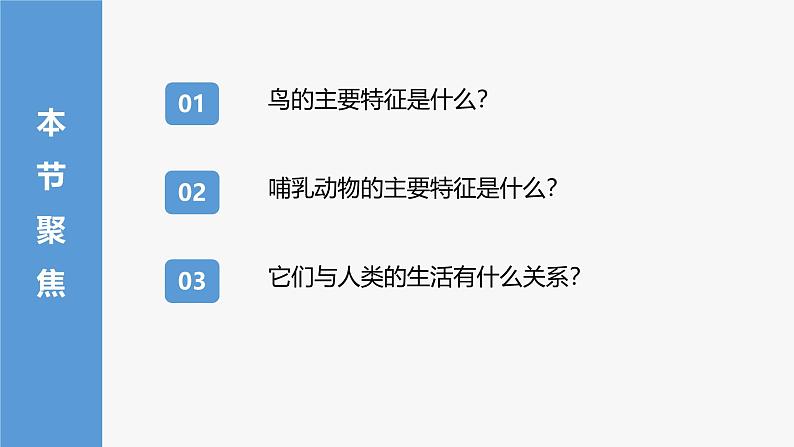 人教版生物七年级上册2.2.2《脊椎动物（三）鸟和哺乳动物》教学课件第2页