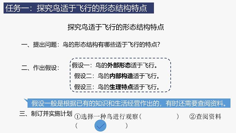 人教版生物七年级上册2.2.2《脊椎动物（三）鸟和哺乳动物》教学课件第4页