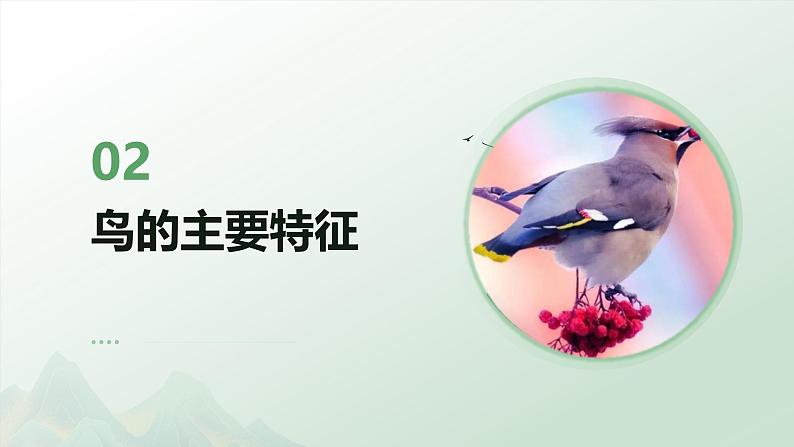 人教版生物七年级上册2.2.2《鸟和哺乳动物》课件第7页