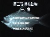 人教版生物七年级上册2.2.2《脊椎动物-鱼》（课件）