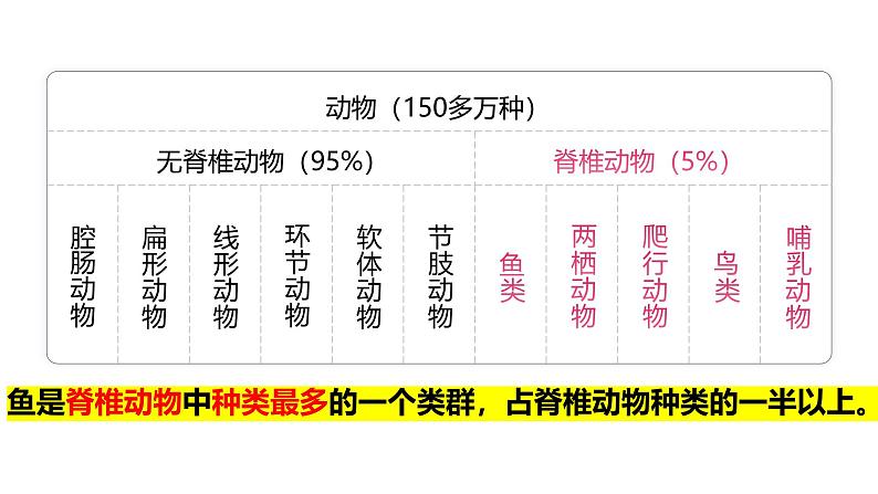 人教版生物七年级上册2.2.2《脊椎动物-鱼》第2页