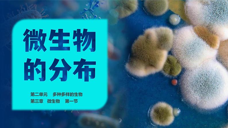 人教版生物七年级上册2.3.1《微生物的分布》课件第1页