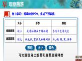 人教版生物七年级上册2.3.1《微生物的分布》课件