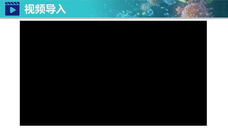 人教版生物七年级上册2.3.2《细菌》第2页