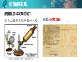 人教版生物七年级上册2.3.2《细菌》（课件）