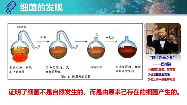 人教版生物七年级上册2.3.2《细菌》第5页