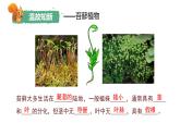 人教版生物七年级上册2.4.1《尝试对生物进行分类》课件