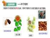 人教版生物七年级上册2.4.1《尝试对生物进行分类》课件