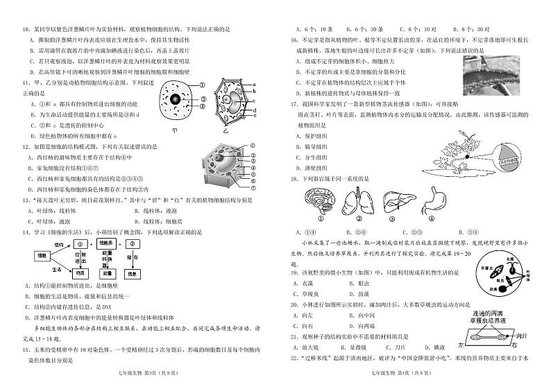 （教研室提供）山东省临沂市沂水县2024-2025学年七年级上学期期中考试生物试题第2页