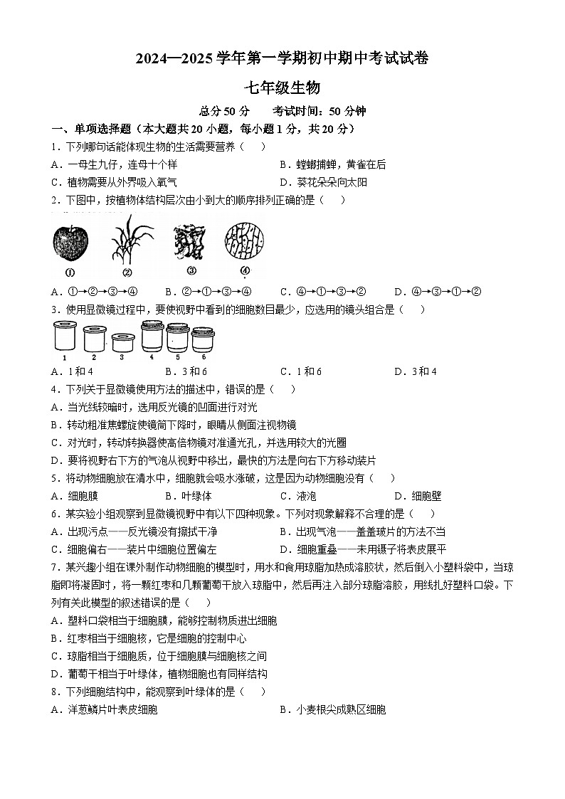 江西省龙南市2024-2025学年七年级上学期期中生物试题第1页