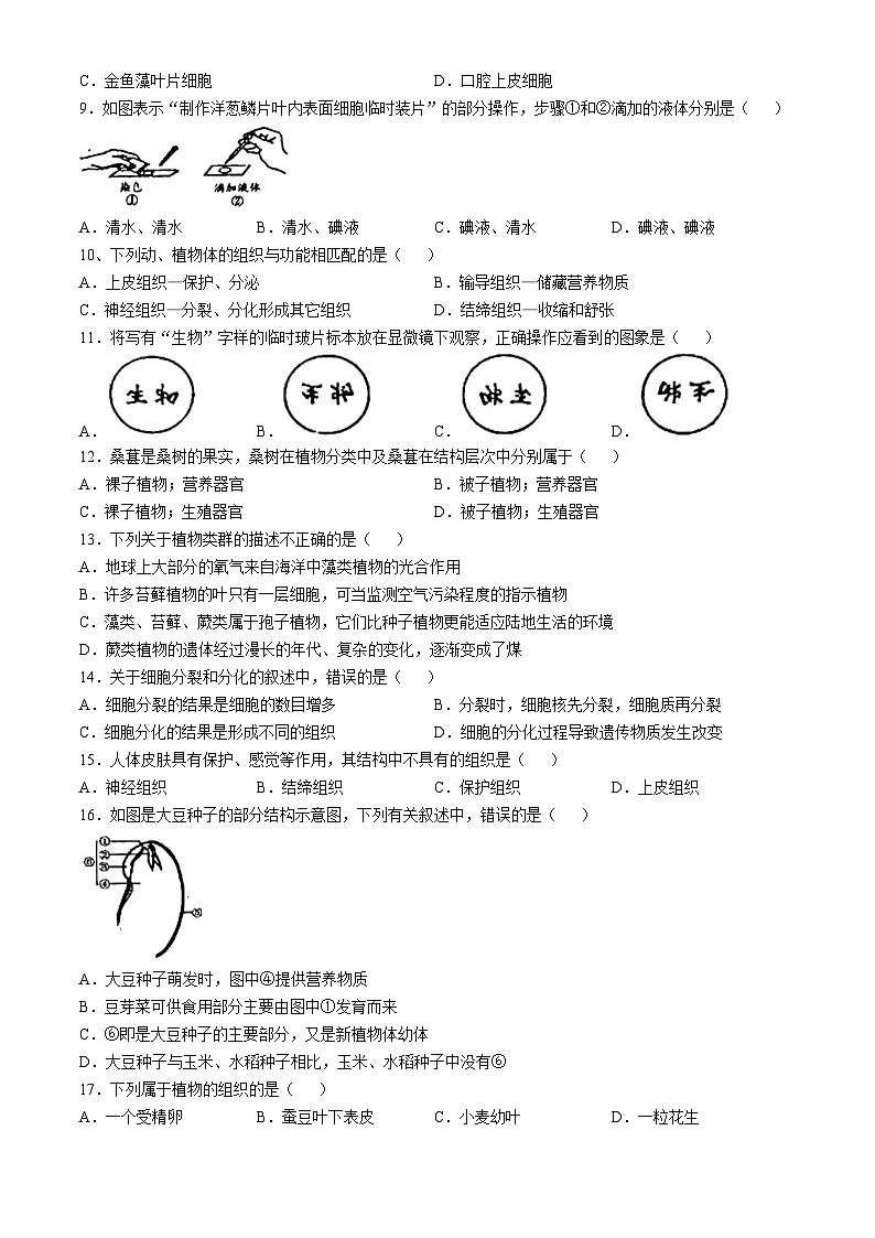 江西省龙南市2024-2025学年七年级上学期期中生物试题第2页