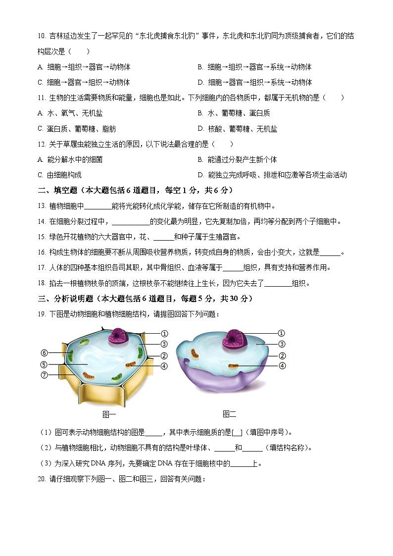 甘肃省定西市安定区城区联考2024-2025学年七年级上学期期中生物试题（原卷版）-A4第2页