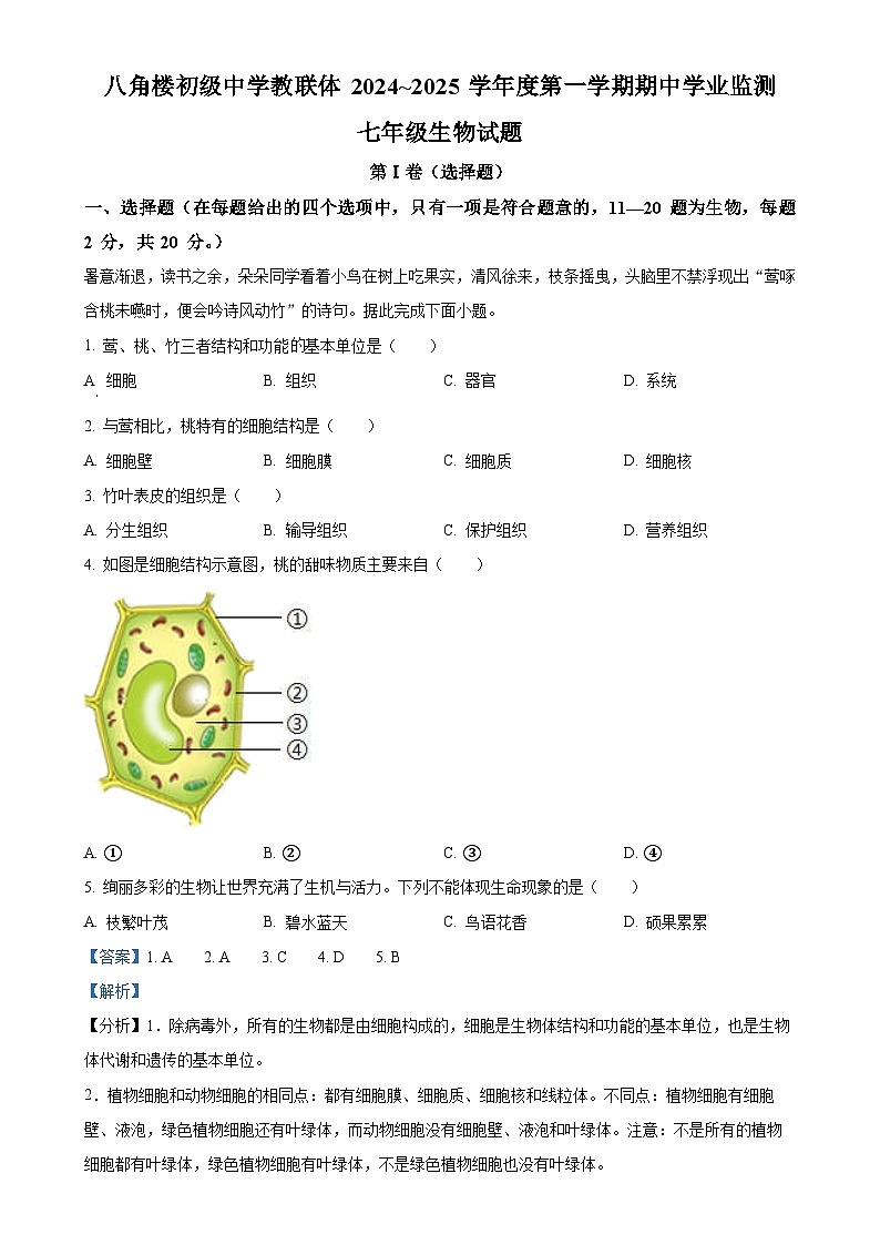 湖北省随州市曾都区教联体多校2024-2025学年七年级上学期期中生物学试题（解析版）-A4第1页