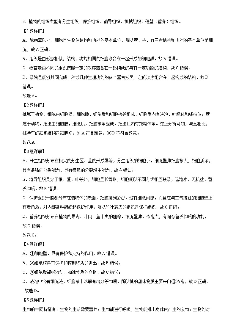 湖北省随州市曾都区教联体多校2024-2025学年七年级上学期期中生物学试题（解析版）-A4第2页