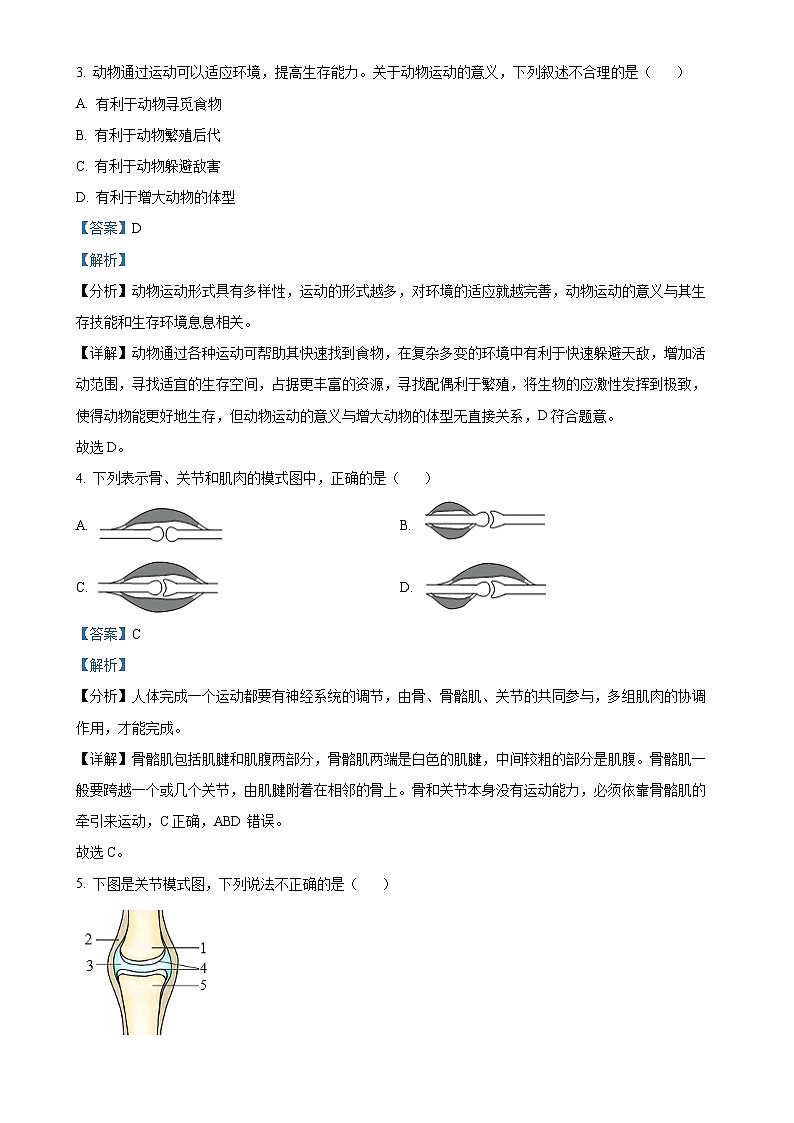 广东省韶关市新丰县2024-2025学年八年级上学期期中生物试题（解析版）-A4第2页