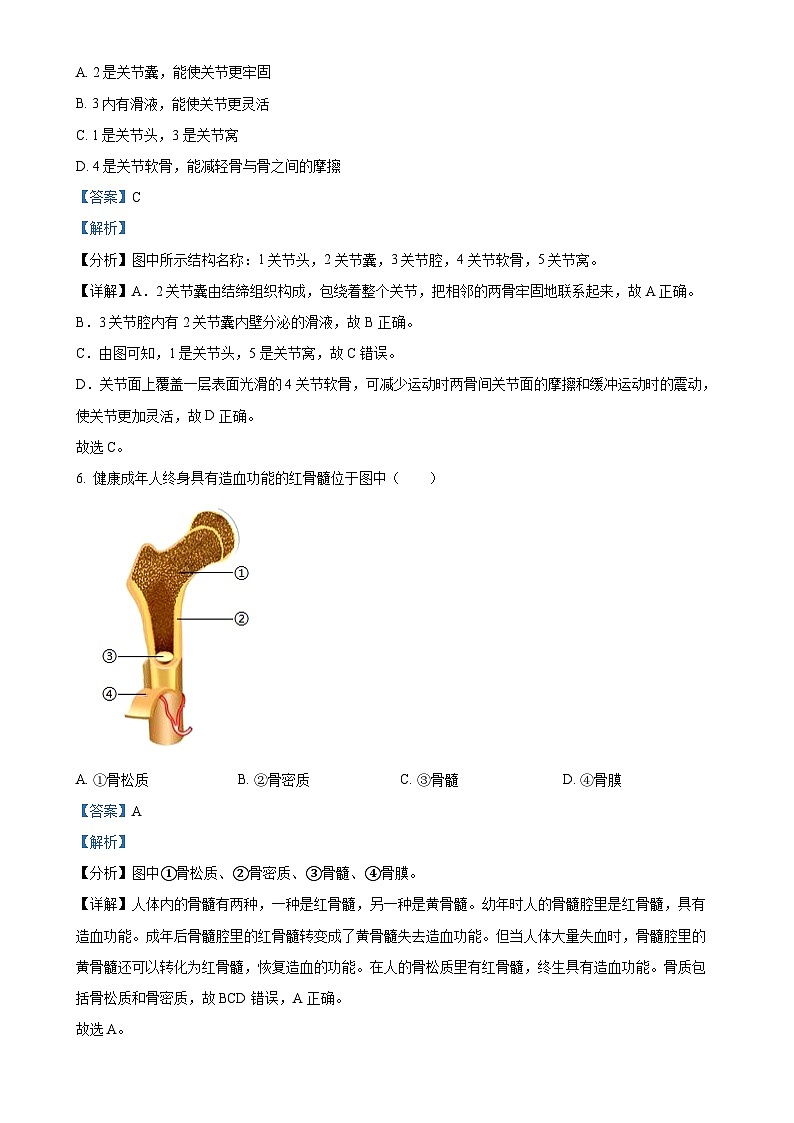 广东省韶关市新丰县2024-2025学年八年级上学期期中生物试题（解析版）-A4第3页