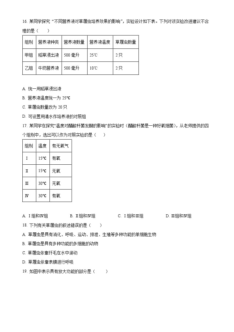 广东省韶关市新丰县2024-2025学年七年级上学期期中生物试题（原卷版）-A4第3页