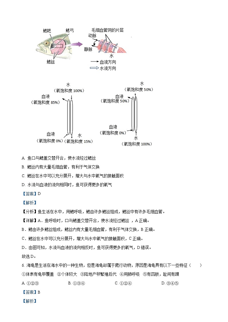 河北省石家庄市平山县外国语中学2023-2024学年八年级上学期12月月考生物学试题（解析版）-A4第3页