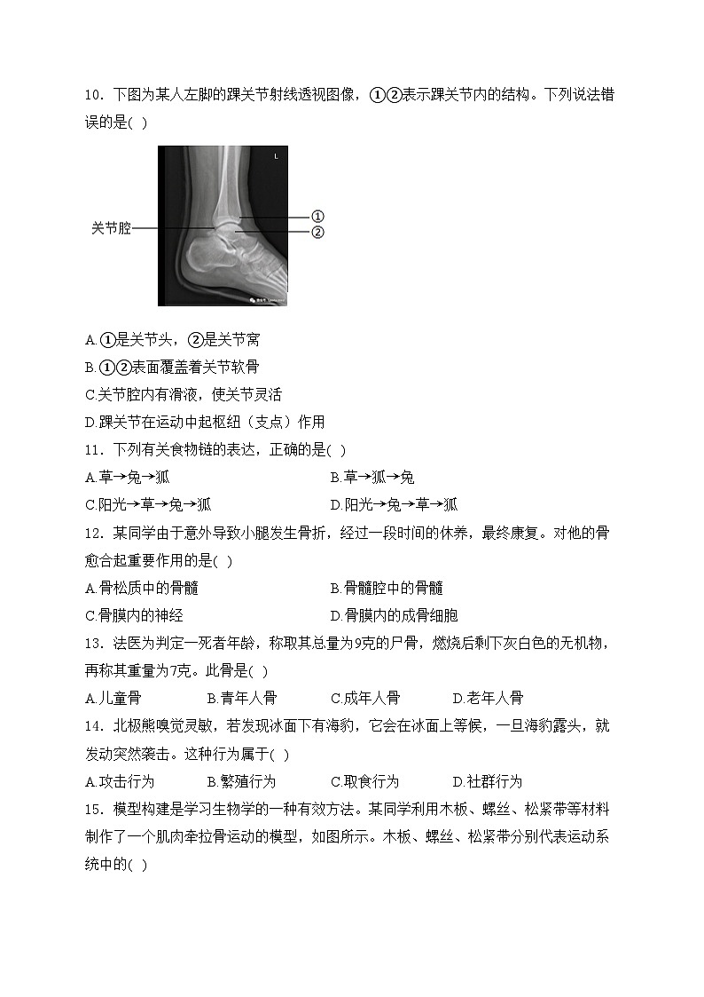 广西河池市宜州区2024-2025学年八年级上学期期中考试生物试卷(含答案)第2页