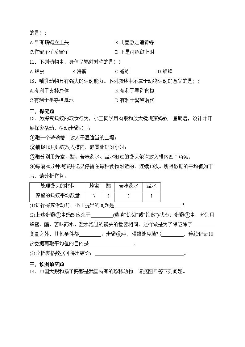 辽宁省铁岭市部分学校2024-2025学年八年级上学期阶段练习生物试卷(含答案)第2页