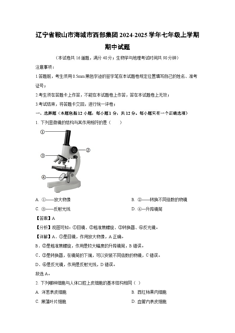 2024~2025学年辽宁省鞍山市海城市西部集团七年级(上)期中生物试卷(解析版)第1页