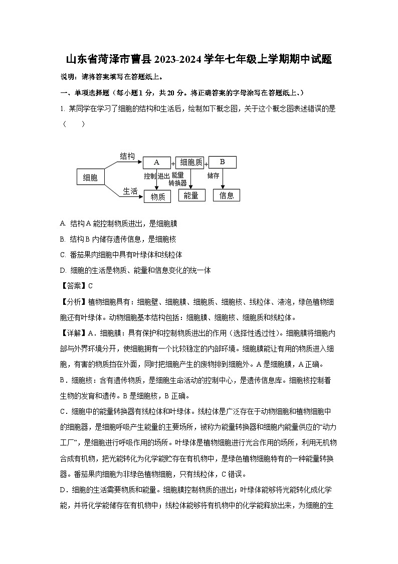 2023~2024学年山东省菏泽市曹县七年级(上)期中生物试卷(解析版)第1页