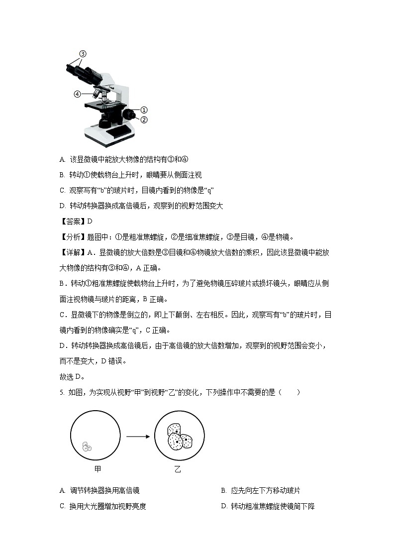 2024~2025学年河南省郑州市七年级(上)期中生物试卷(解析版)第3页
