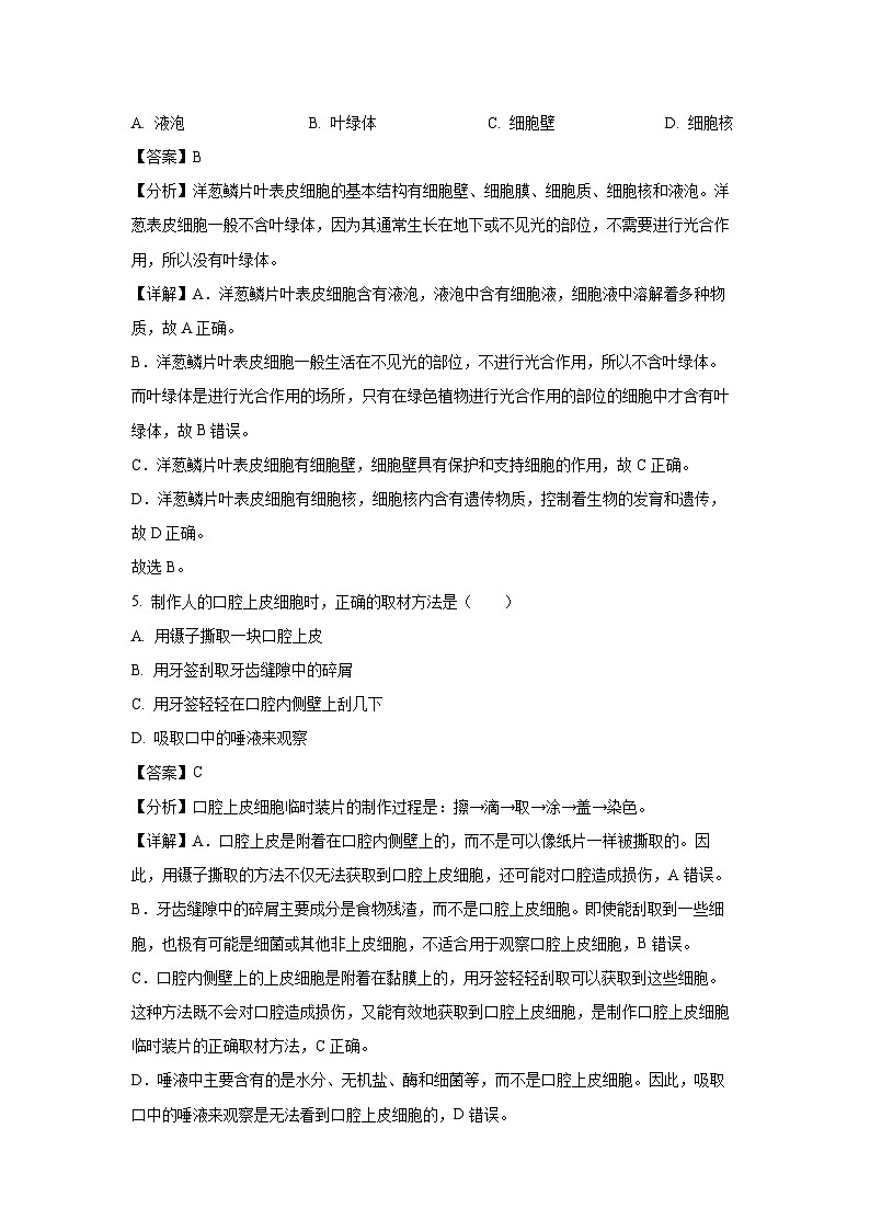 2024~2025学年河南省漯河市舞阳县七年级(上)期中生物试卷(解析版)第3页