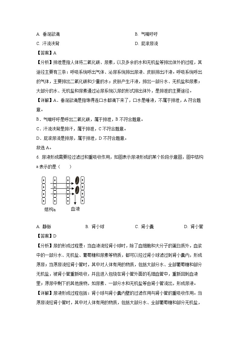 2023~2024学年江苏省泰兴市八年级(上)期末生物试卷(解析版)第3页
