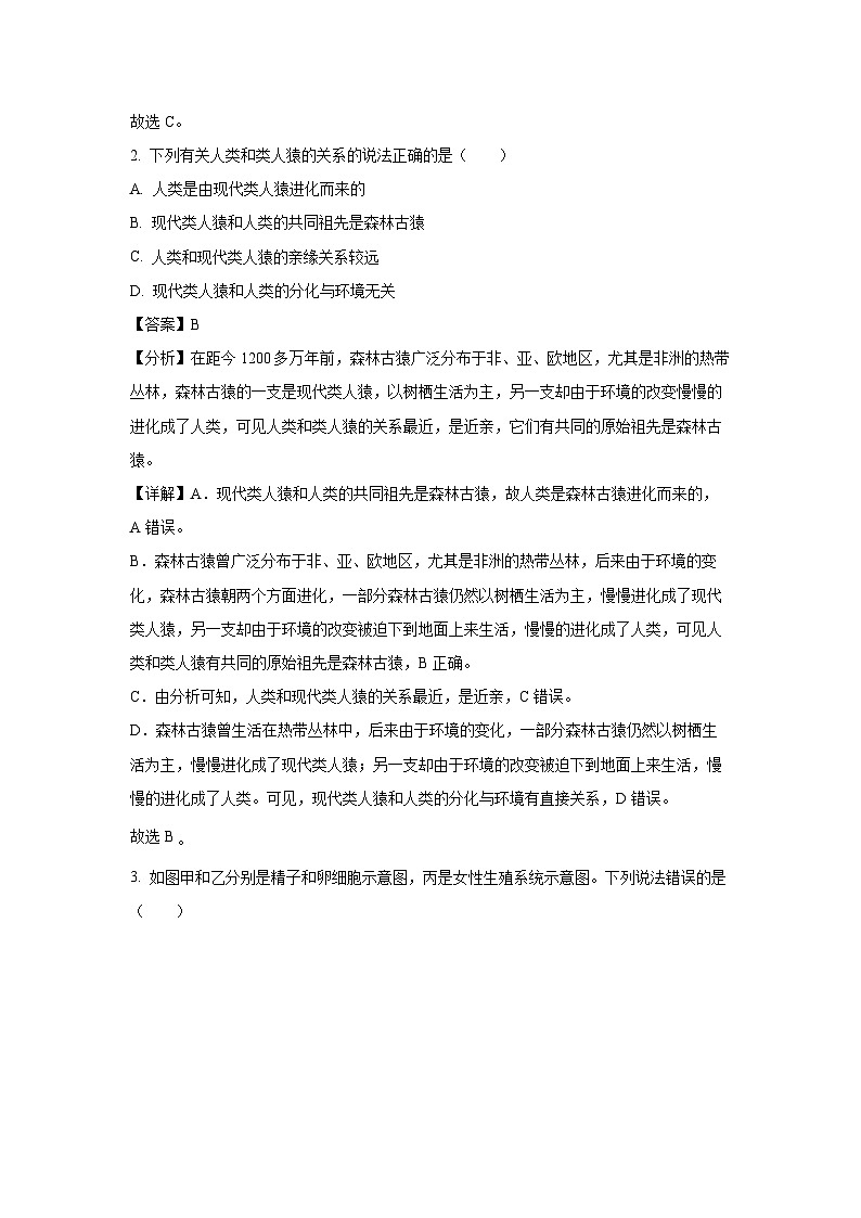 2023~2024学年山东省烟台市芝罘区七年级(上)期中生物试卷(解析版)第2页