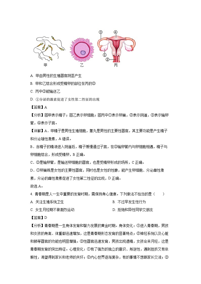 2023~2024学年山东省烟台市芝罘区七年级(上)期中生物试卷(解析版)第3页