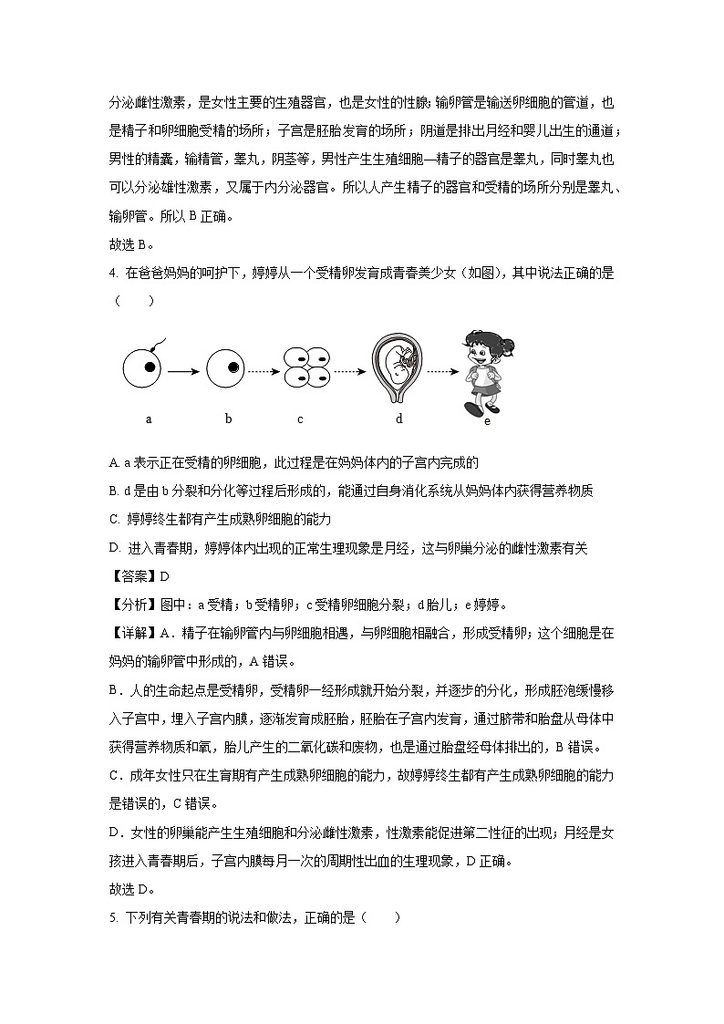 2023~2024学年山东省淄博市北部(五四制)七年级(上)期中考试生物试卷(解析版)第3页