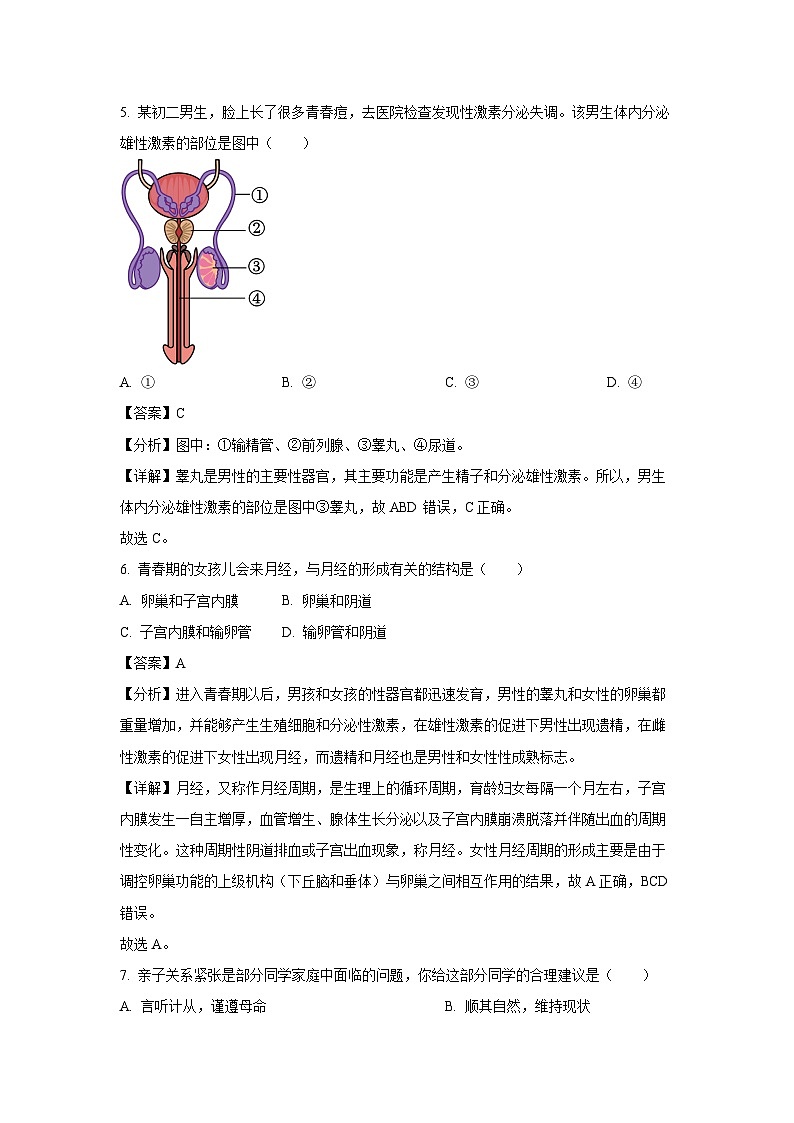 2023~2024学年山东省淄博市张店区七年级(上)期中生物试卷(解析版)第3页